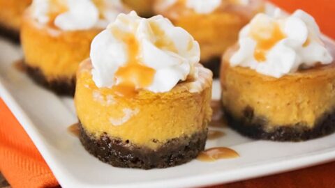 Best Pumpkin Cheesecake Recipe I Heart Naptime