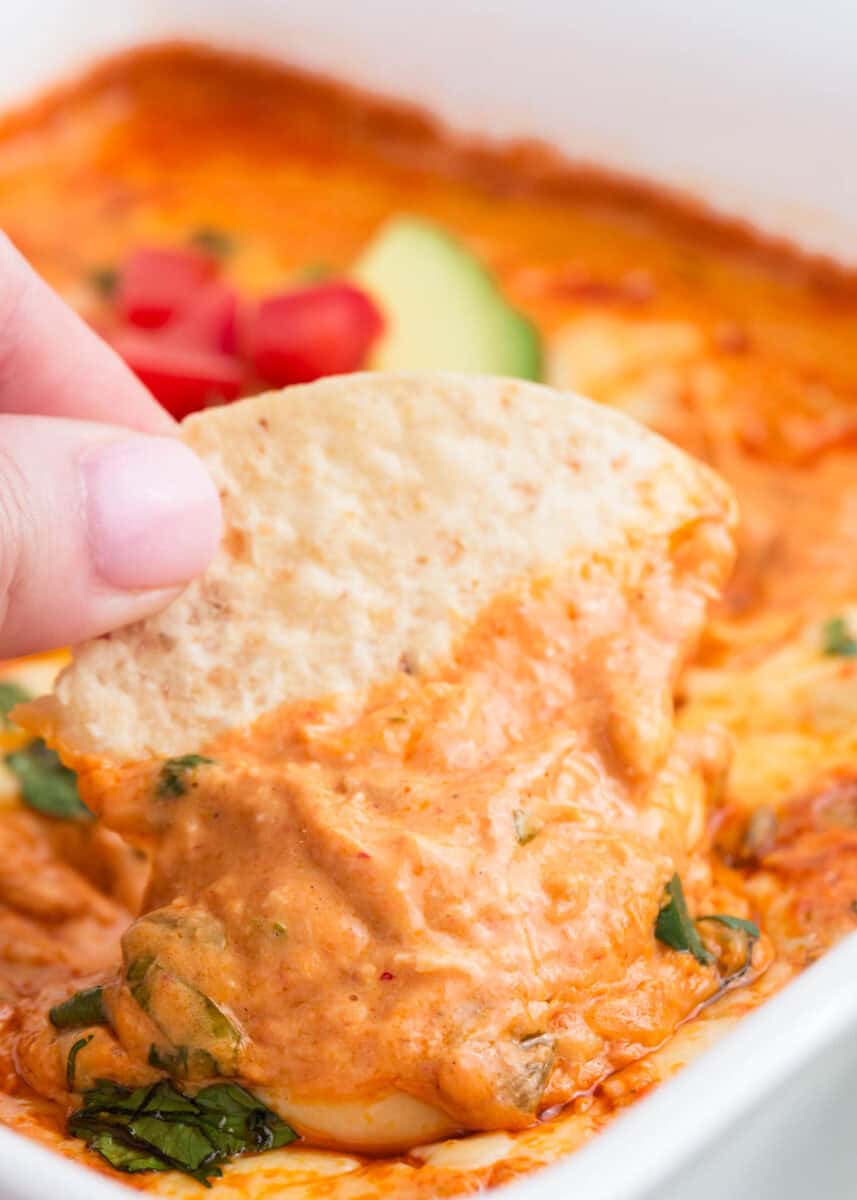 Scooping chicken enchilada dip with tortilla chip.