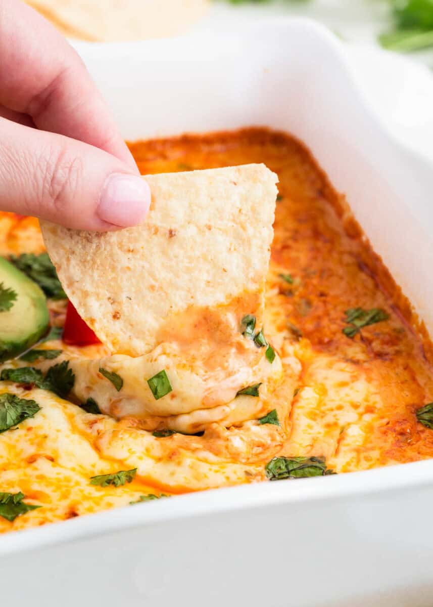 A chip dipped into chicken enchilada dip.