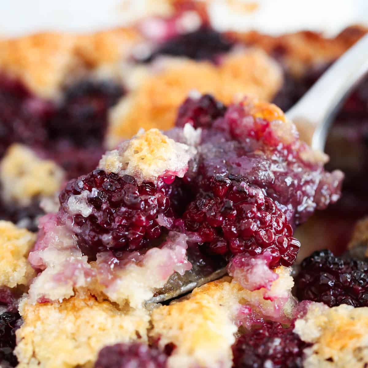 Blackberry Cheesecake Bars I Heart Naptime