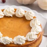 Pumpkin cheesecake with gingersnap crust with piped whipped cream.