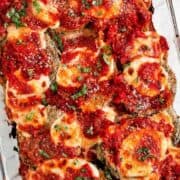 Baked eggplant parmesan in baking dish.