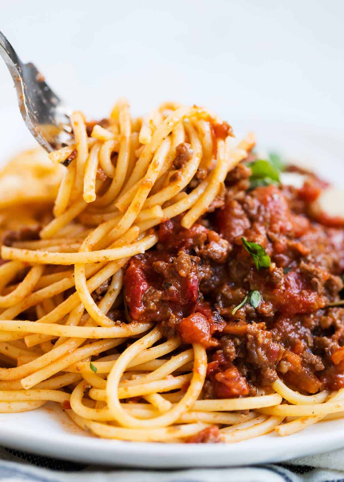 Spaghetti bolognese twirled on a fork.