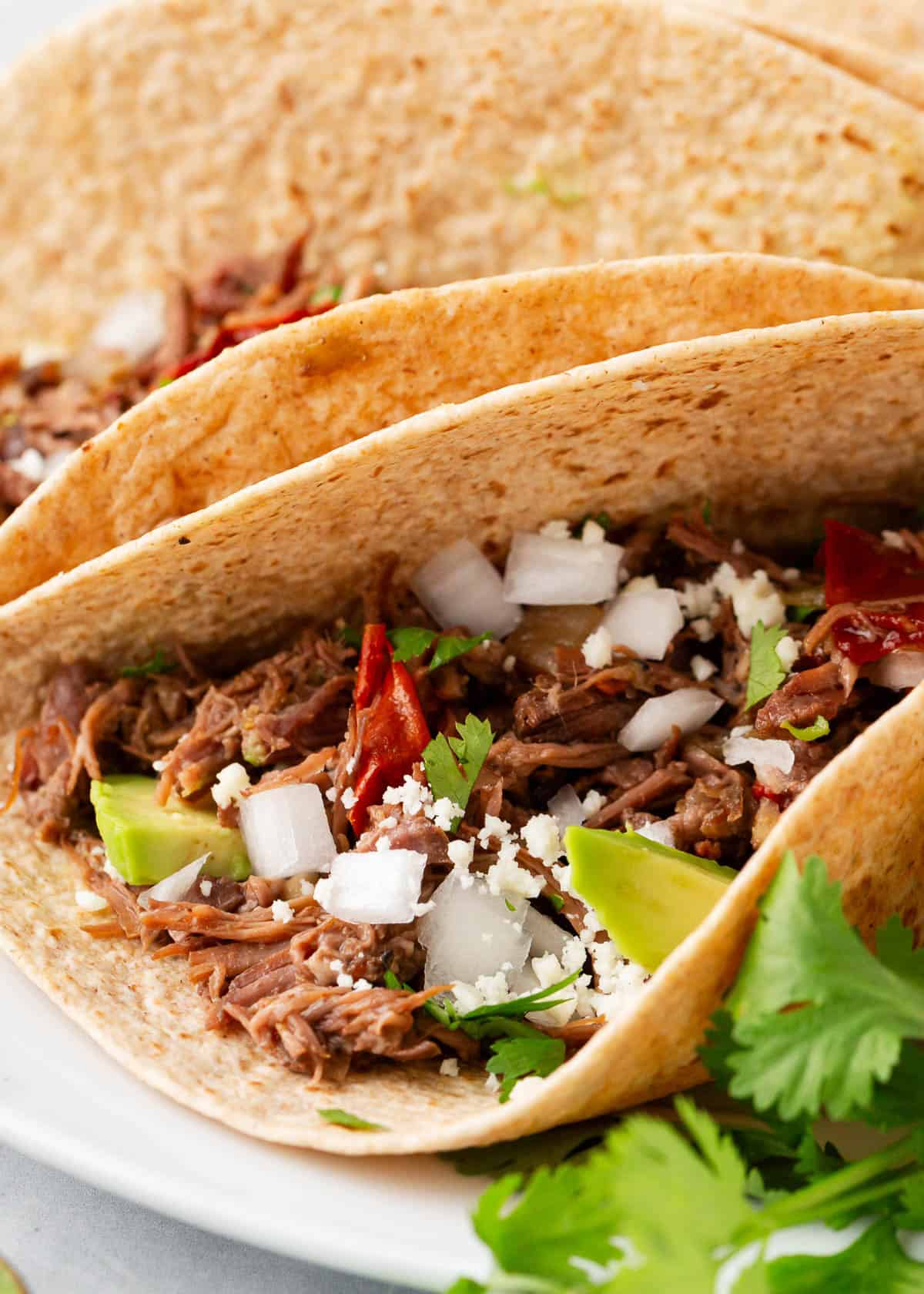 Close up of beef barbacoa tacos.