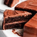 Slice of gluten free chocolate cake.