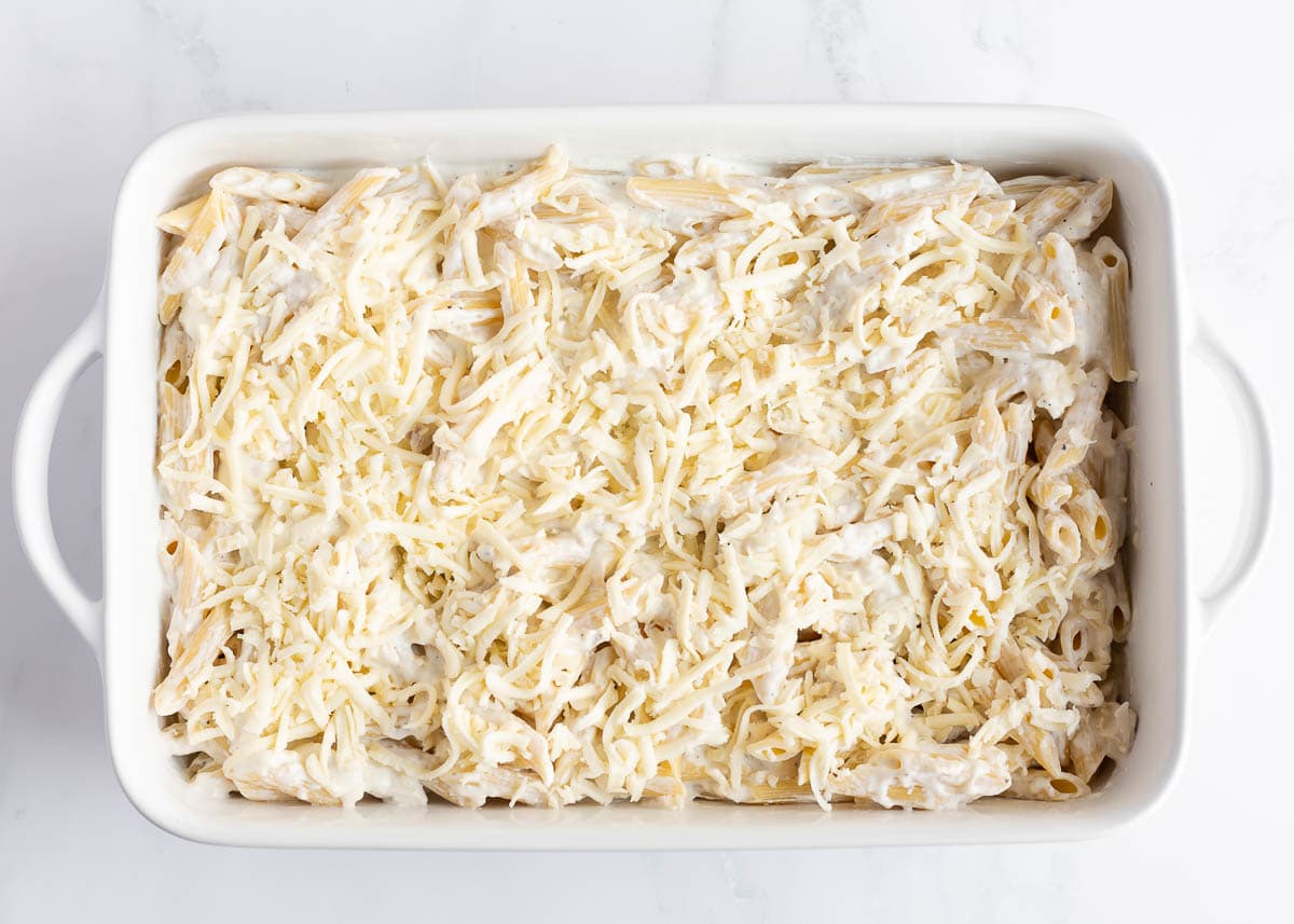 Chicken alfredo bake assembled and topped with mozzarella.