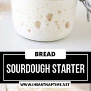 Sourdough starter in a jar.