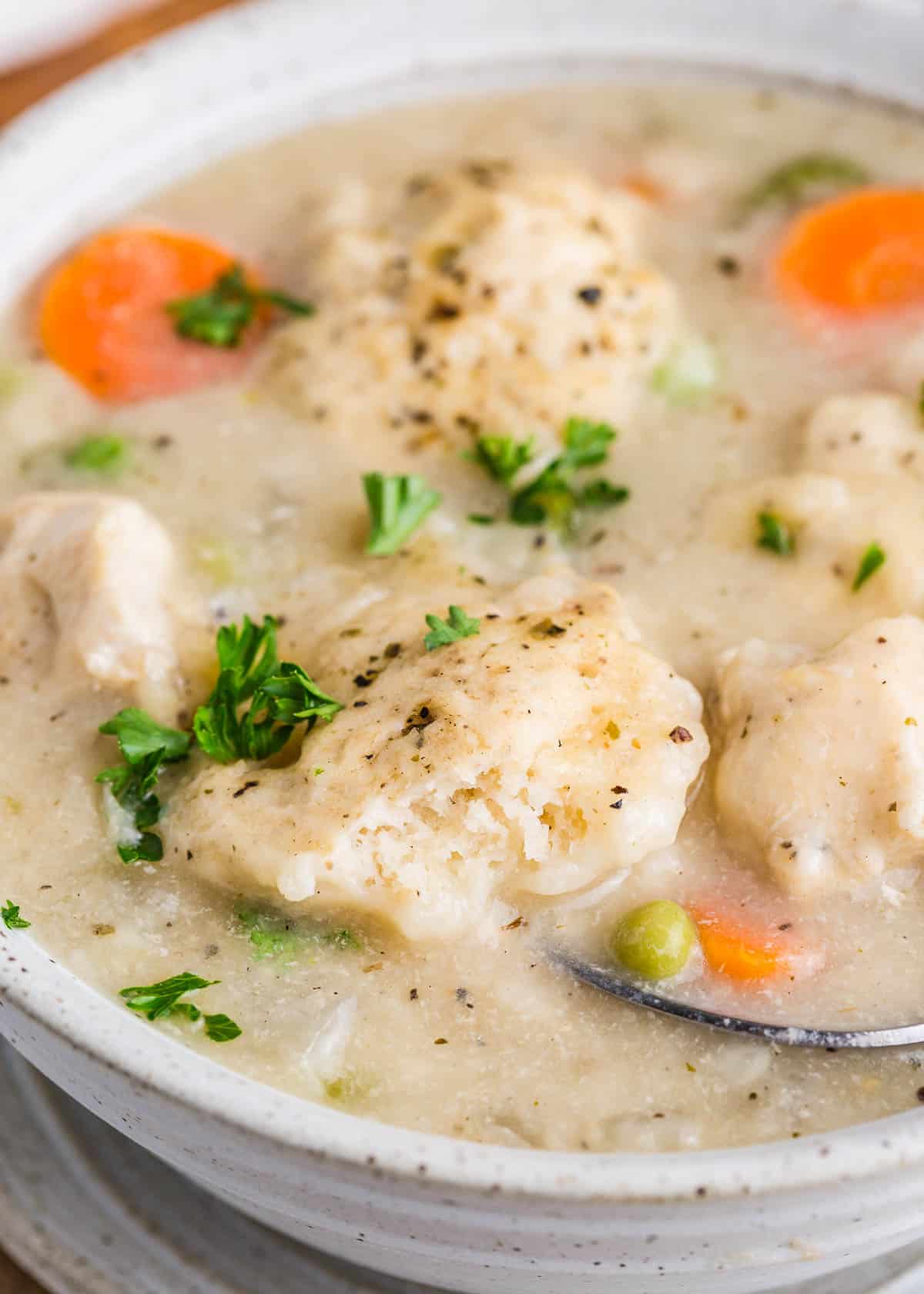 Bowl full of chicken dumplings soup.