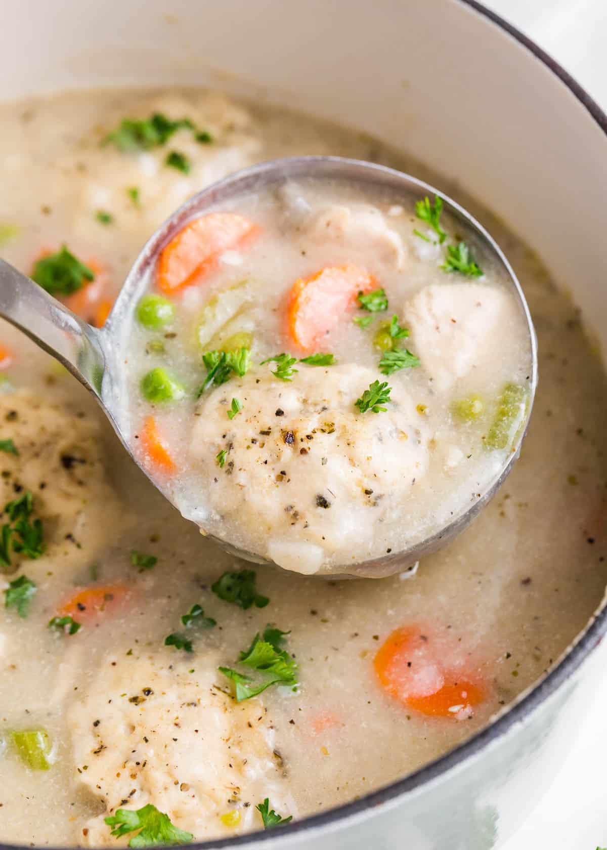 Ladle full of chicken dumplings soup.