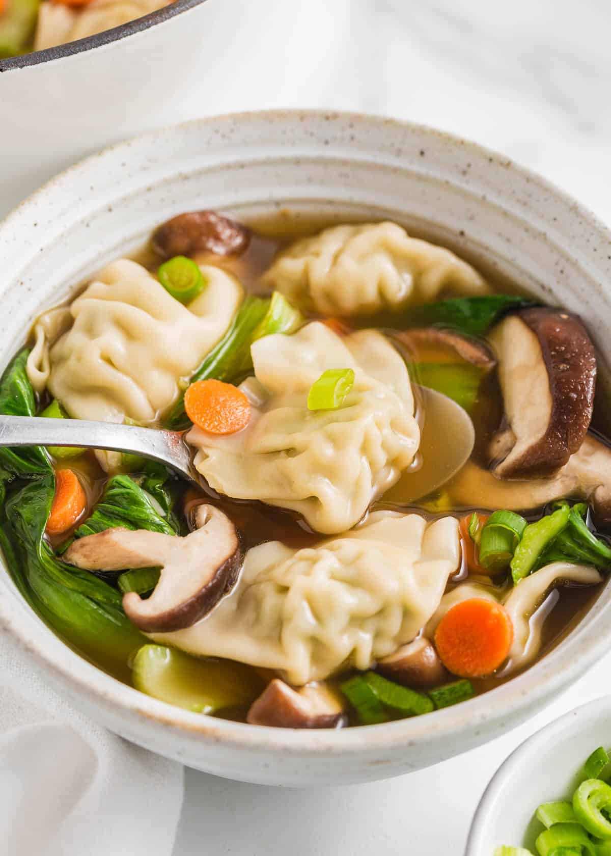 A bowl of potsticker soup.