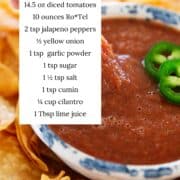 Dipping a chip into salsa with ingredients listed.