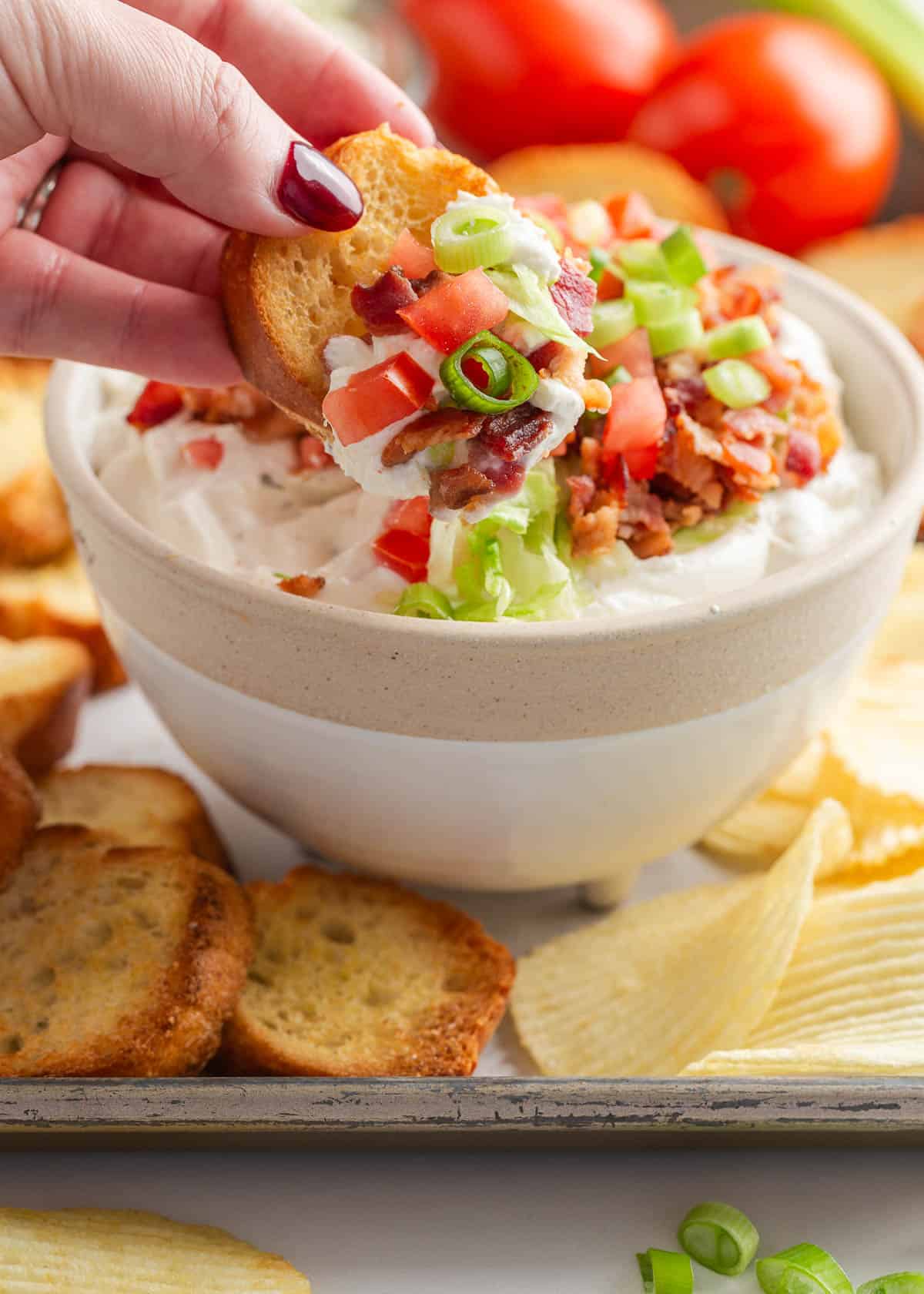 Dipping crostini into BLT dip.