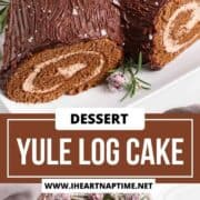 Yule log cake on a plate.