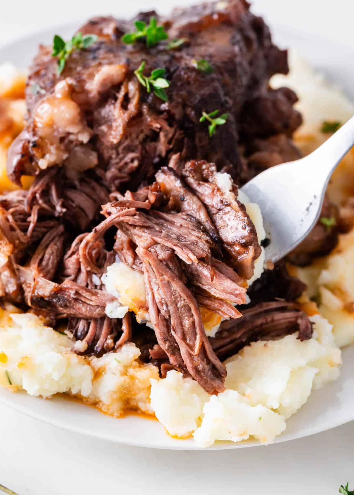 A forkful of braised short ribs over mashed potatoes.