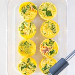 Cottage cheese egg bites in meal prep container.